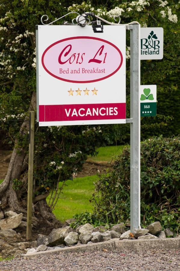 Cois Li B&B Tralee Bagian luar foto
